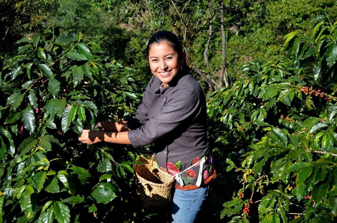 Explorando cafetales y ríos cerca de Xalapa